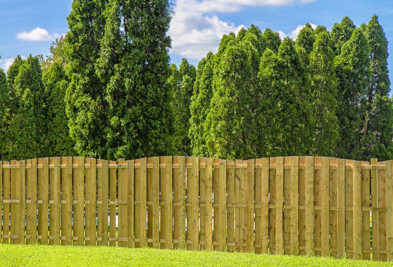 Completed Wooden Fence