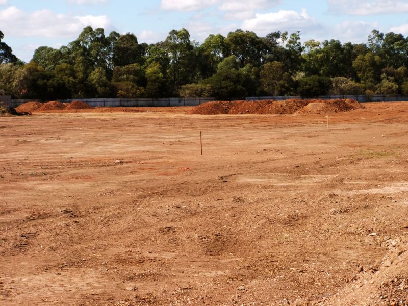 Land Clearing for Fencing